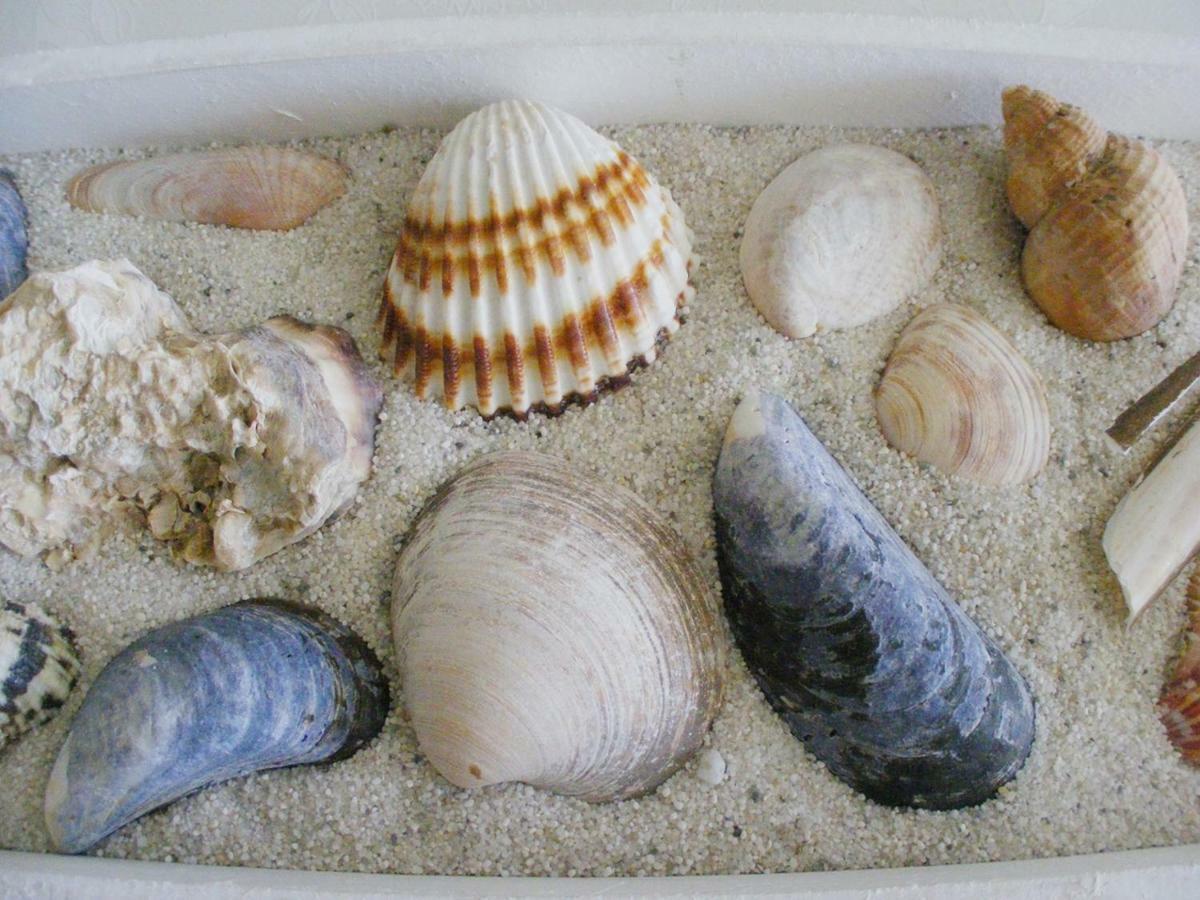 Frische Brise 4.04 Mit Meerblick Cuxhaven Kültér fotó